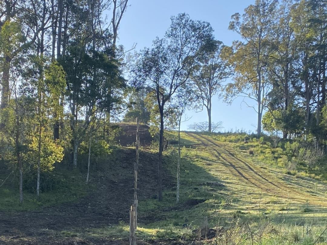 Fence line clearing - Goonellabah